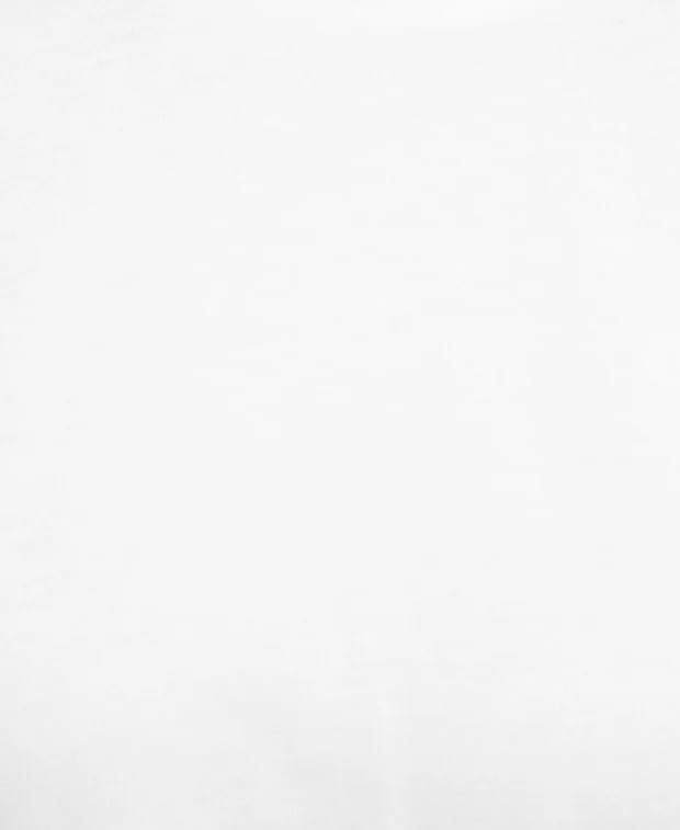 Langarmshirt - Image 2