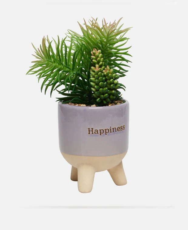 Pflanzentopf