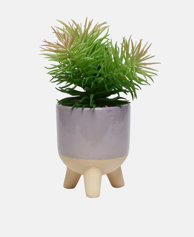 Pflanzentopf - Image 2