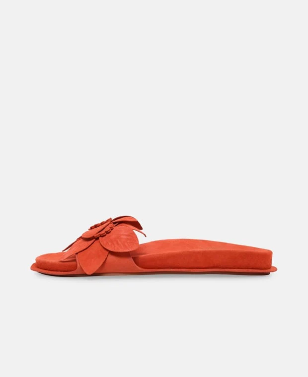 Mules - Image 4